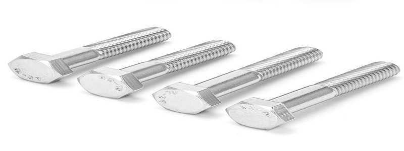  ss 316L bolts