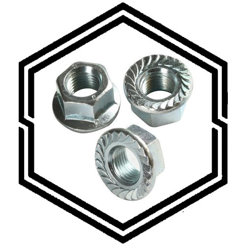 FAS 1/2-20 Stainless Steel Serrated Flange Lock Nuts – 304 Stainless, 10 Pack