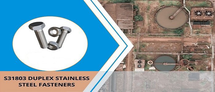 Duplex s31803 Fasteners